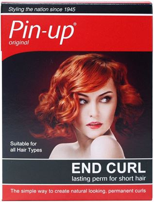 Picture of Pin Up End Curl Kit